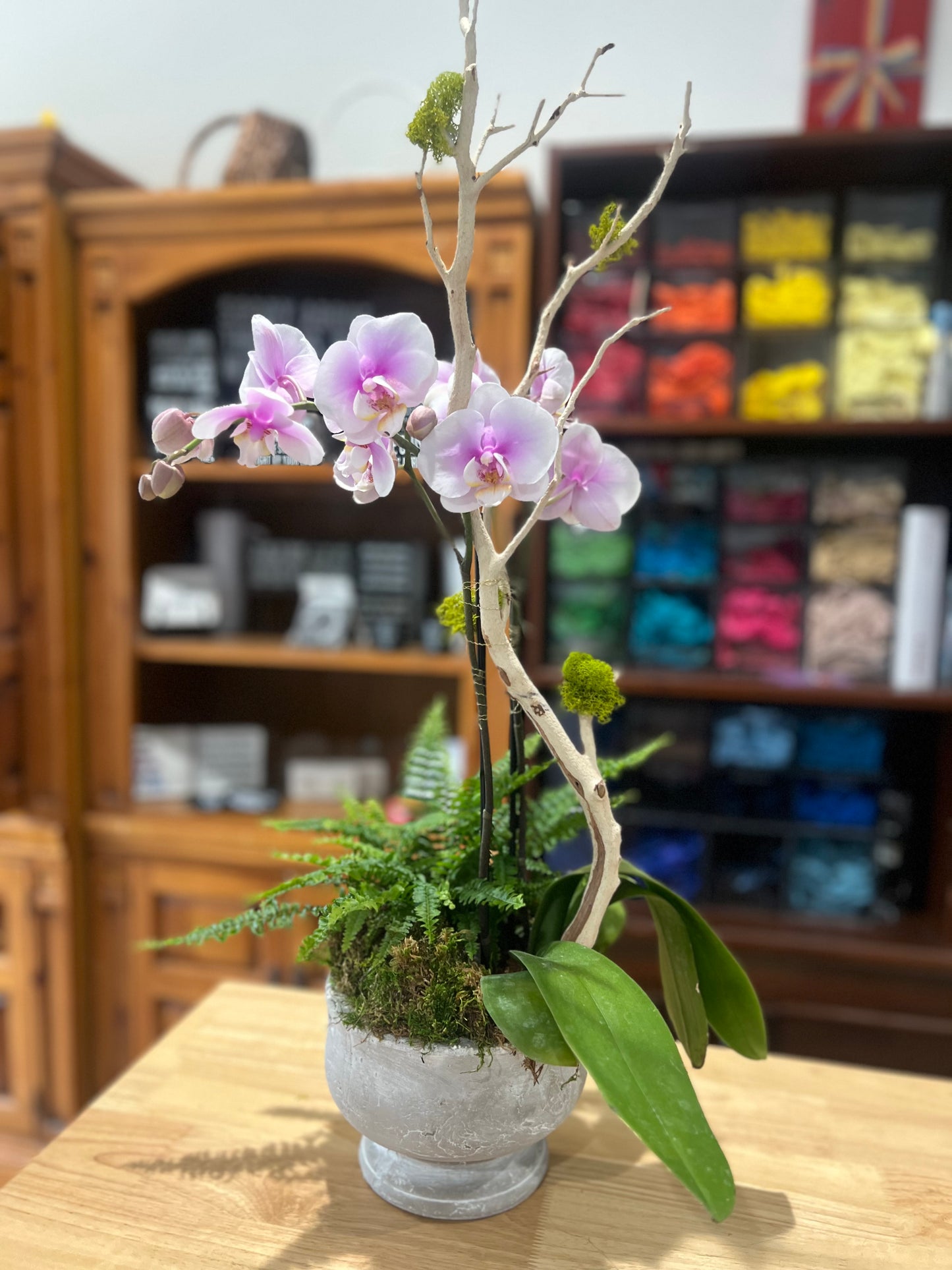 Whispers of Serenity