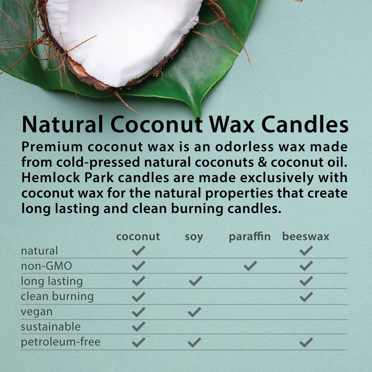 Sea Salt Orchid Candle | 8 oz Apothecary