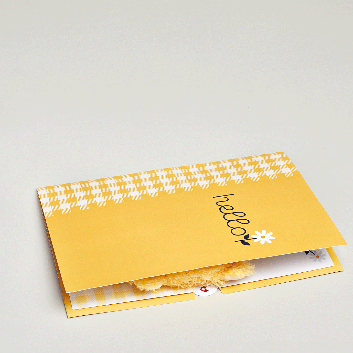 Daisy Greetings 6”x8” Plushpop Card, Pop-Up Cards