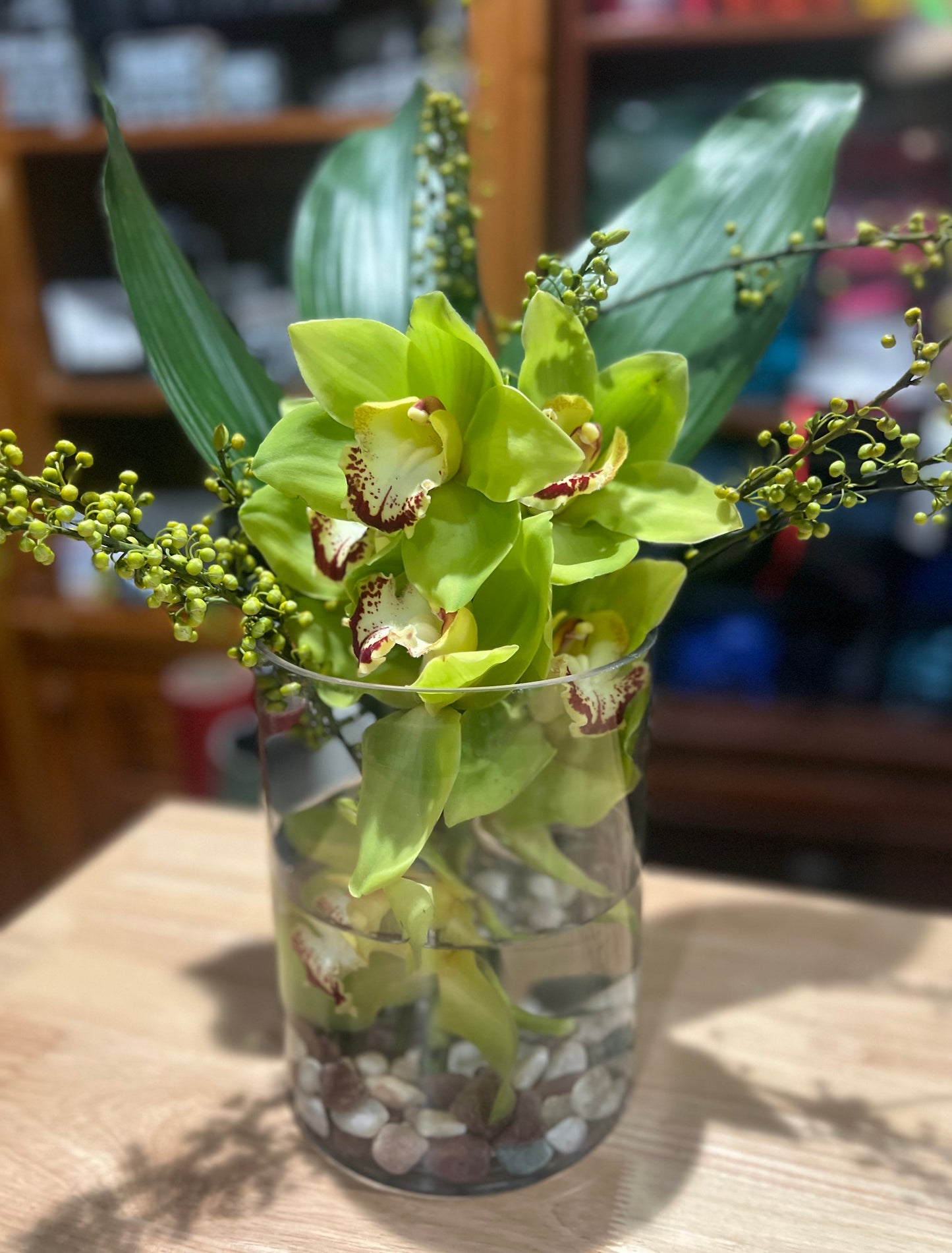 Zen Orchid