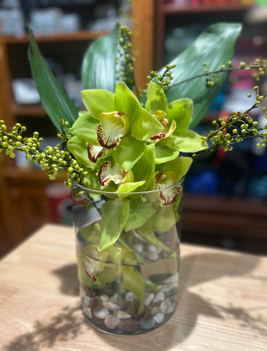 Zen Orchid