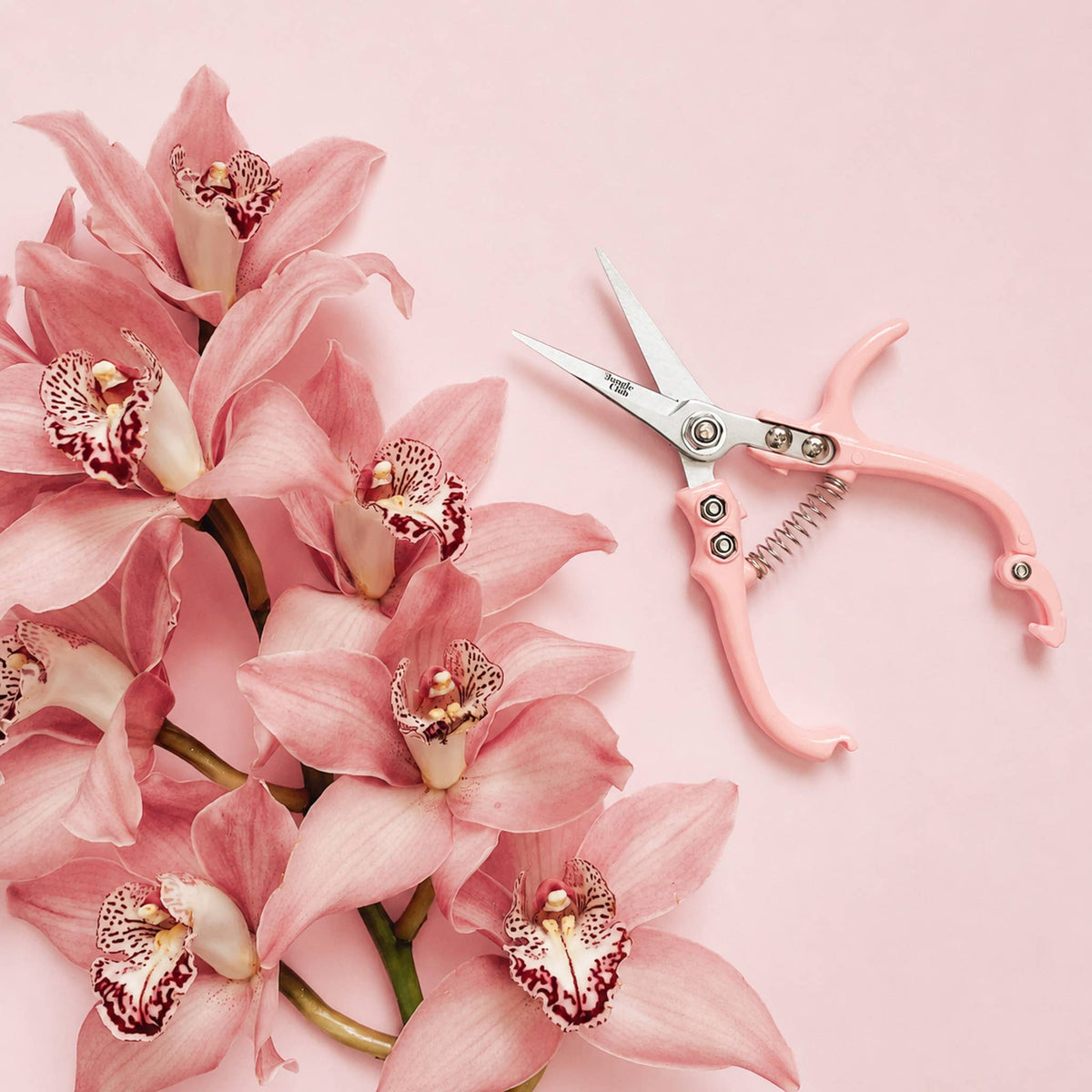 Pruning Shears | Pink