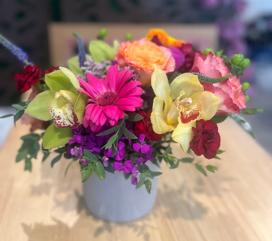 Tropical Vibrance