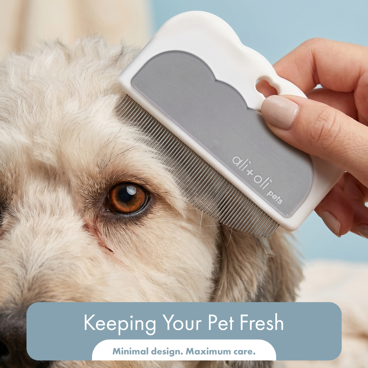 Ali+Oli Pets Eye & Face Grooming Comb for Dogs & Cats