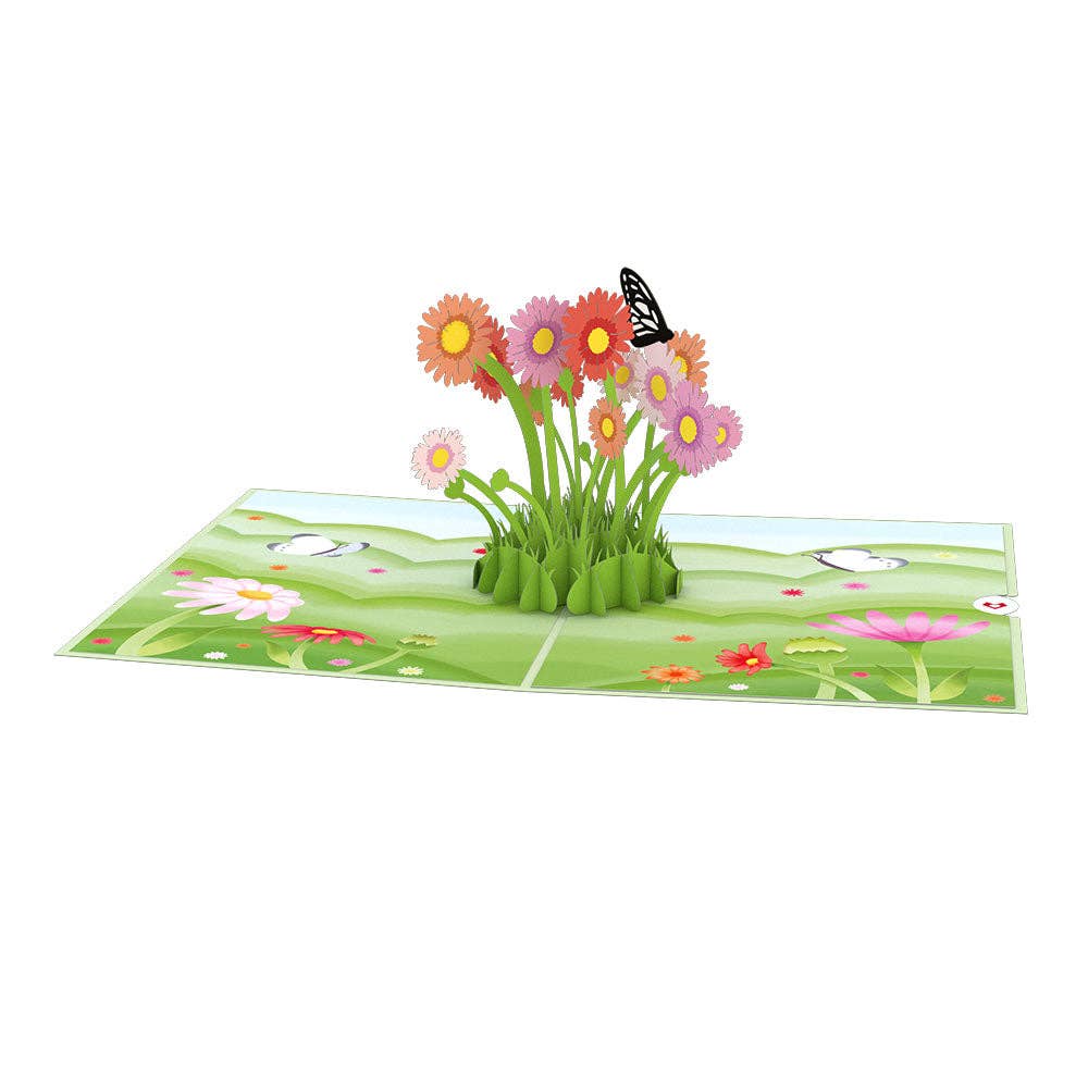 Easter Daisy Patch Card, 5x7" Pop-Up Cards (-62%)