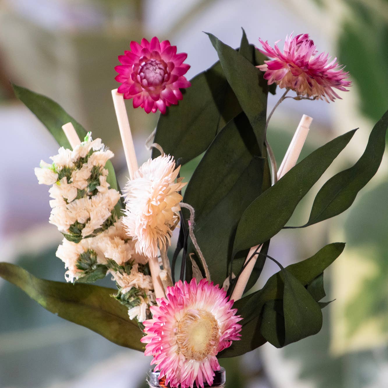 SAMPLE Sandalwood & Currant Bouquet Reed Bundle Diffuser