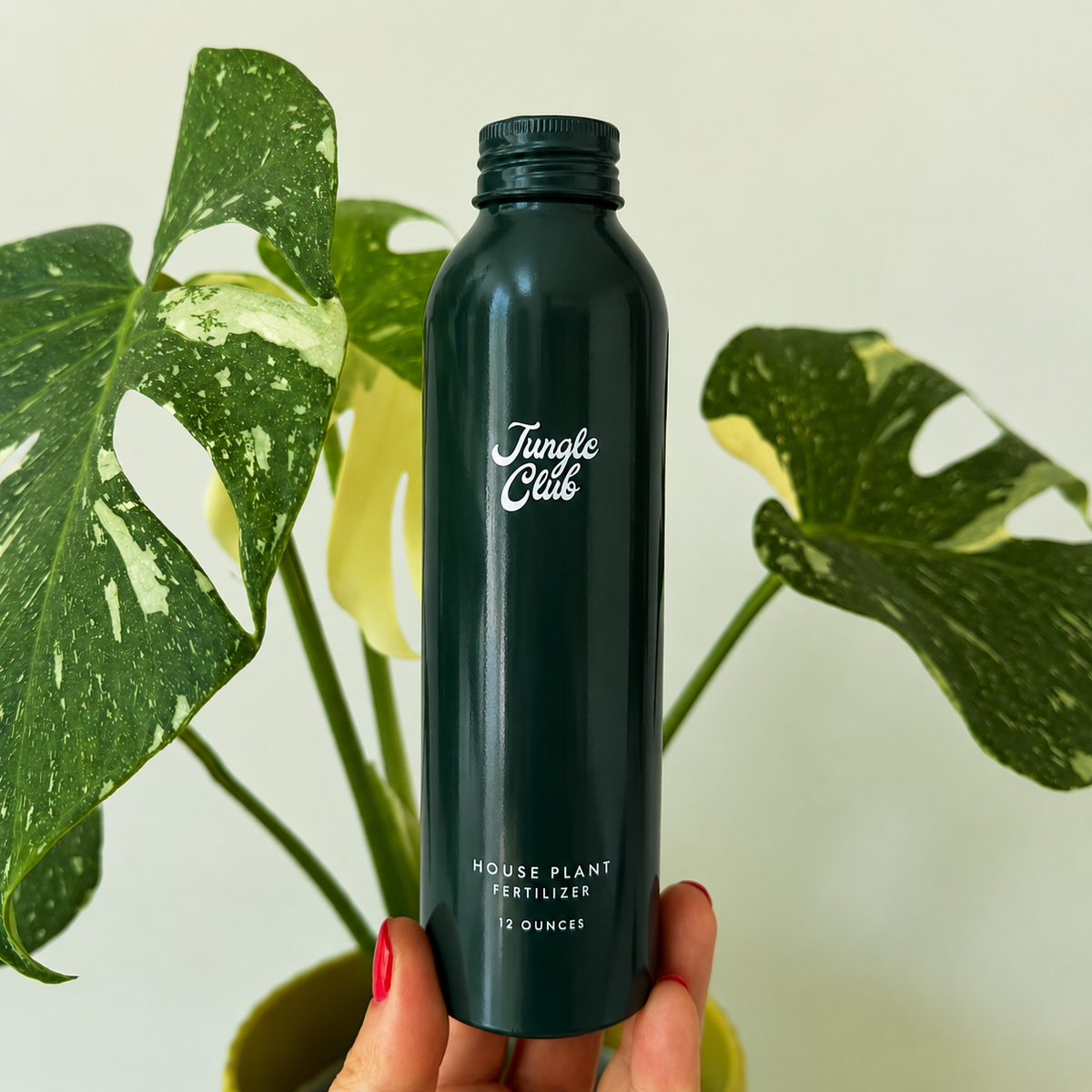 House Plant Fertilizer | Rainforest