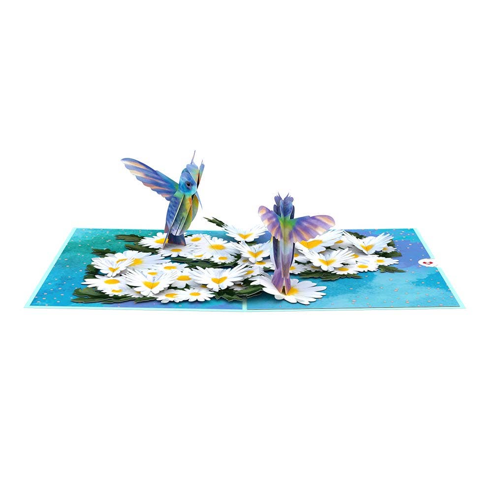 Daisy Patch Hummingbirds 5''x7'' Card, Flower, Pop-up card