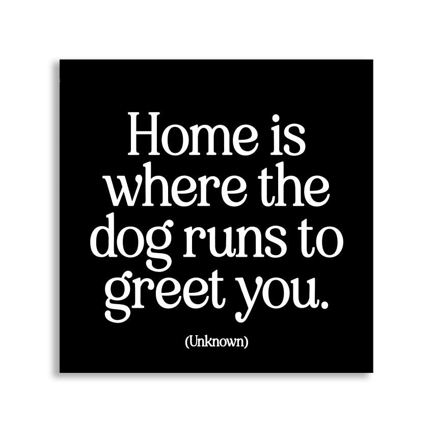 Magnet "Home Is Where The Dog Runs", 3.5 in Square