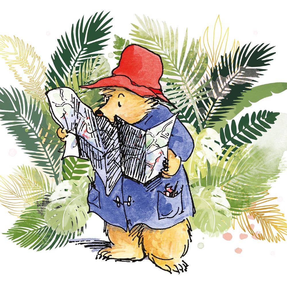 BLANK GREETING CARD PADDINGTON PERU M&G