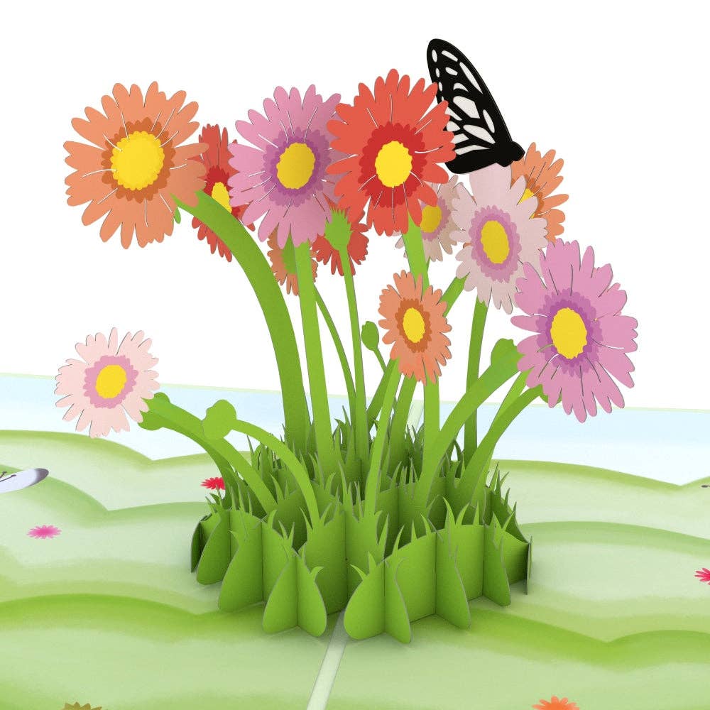 Easter Daisy Patch Card, 5x7" Pop-Up Cards (-62%)