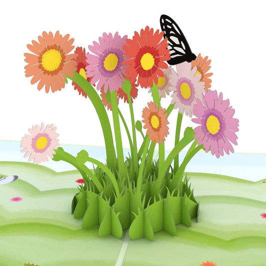 Easter Daisy Patch Card, 5x7" Pop-Up Cards (-62%)