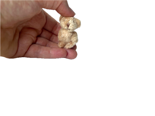 Miniature Stuffed Bear Pocket Friend Travel Plush Pendant